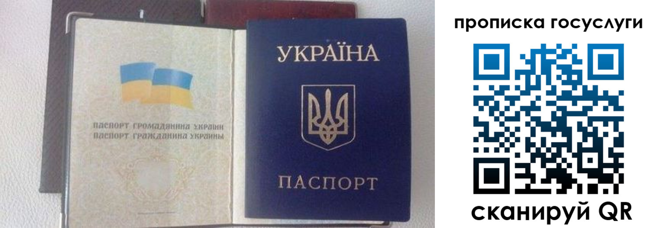 временная регистрация недорого в Лыткарино